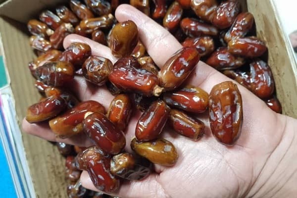 تصویر 1 از خرید خرمای سایر صادراتی + قیمت فروش استثنایی